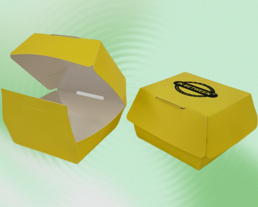 Take Away Burger Boxes